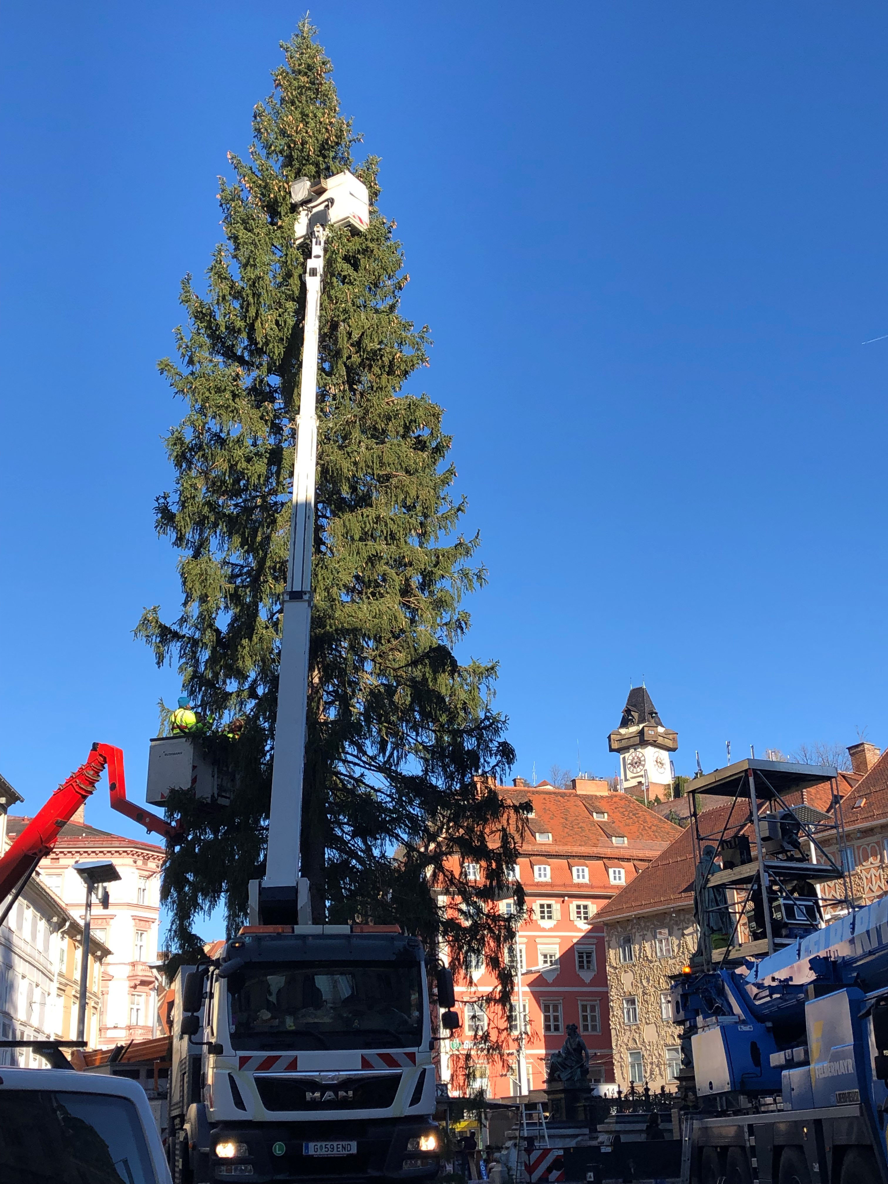 Und nun hat er sein Ziel erreicht und wird für den Advent vorbereitet.