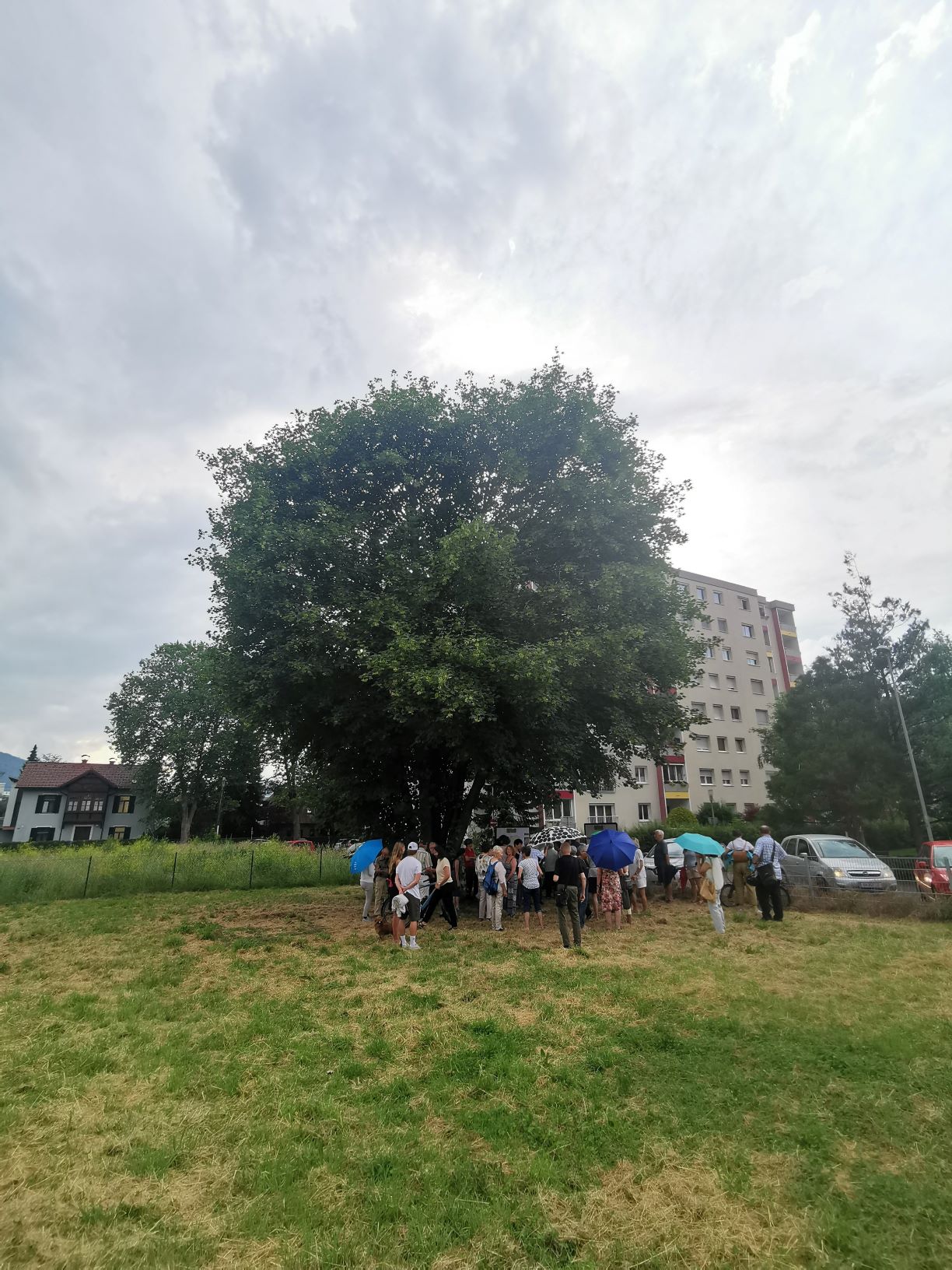 trotz Wolkenbruchs kamen viele Anrainer:innen zur Bürgerinfo