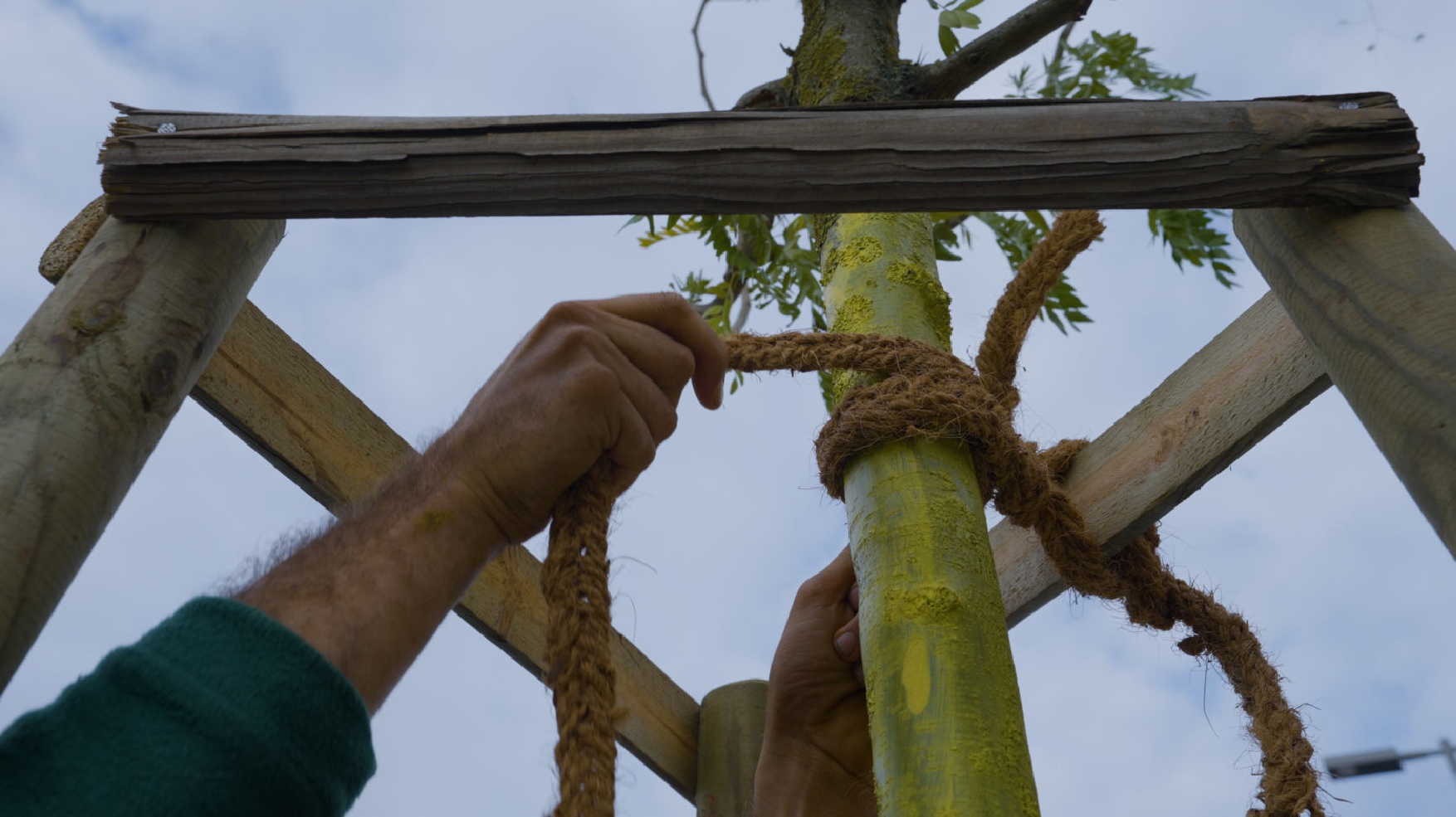 Befestigung des Baumes