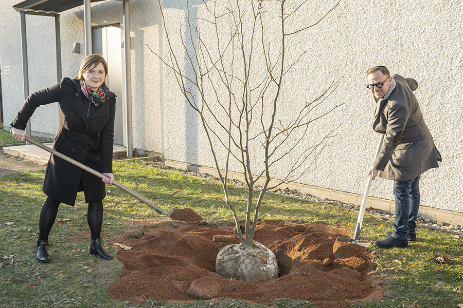 Zeichen für Liebe und Frieden: Vizebürgermeisterin Judith Schwentner und Präsident der israelitischen Kultusgemeinde in Graz, Elie Rosen setzen beim Jüdischen Friedhof einen Liebesbaum.
