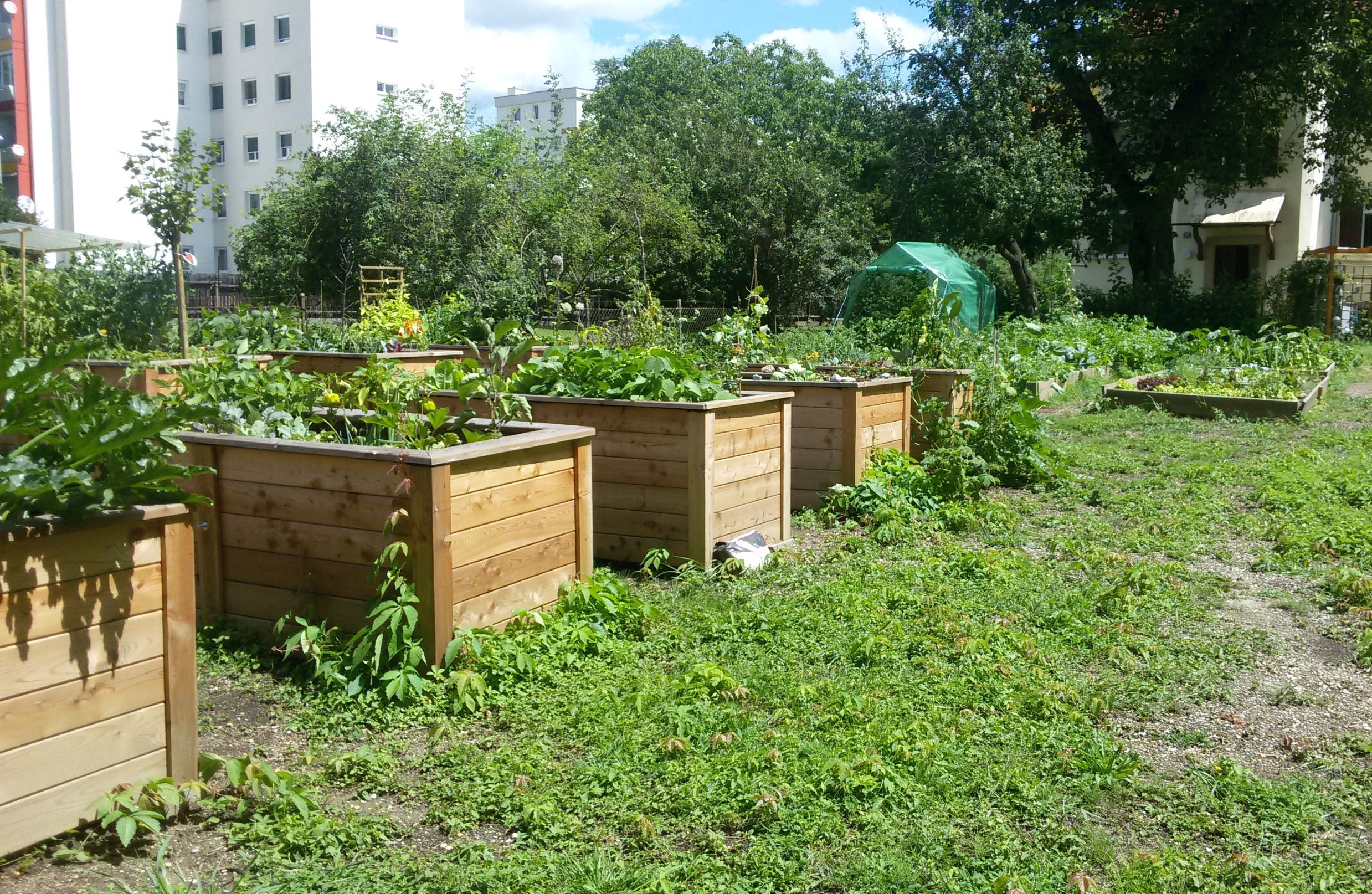 Gemeinschaftsgarten Grazer Straße