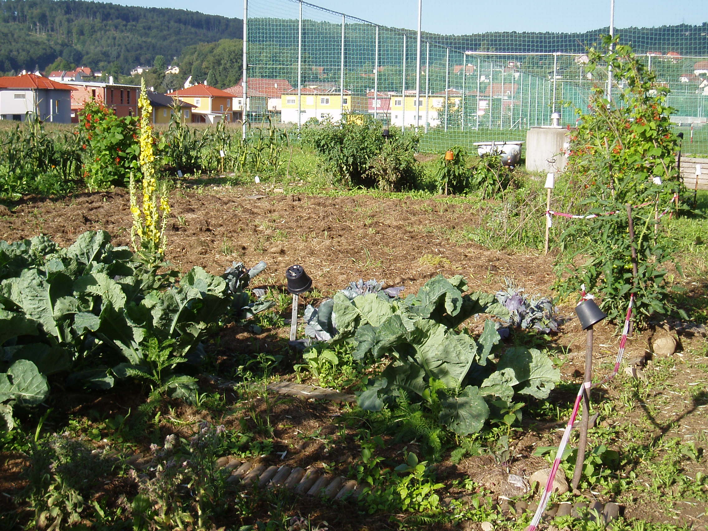 Gemeinschaftsgarten Salfeldstraße