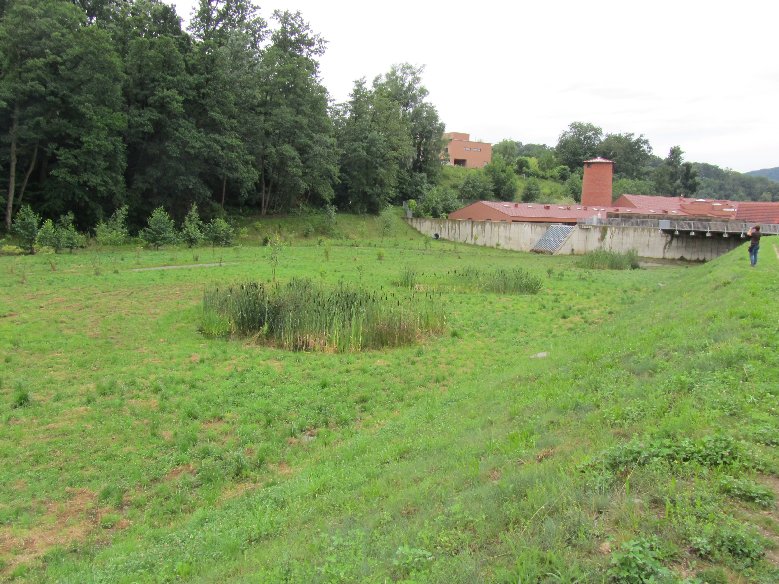 Rückhaltebecken Stufenbach