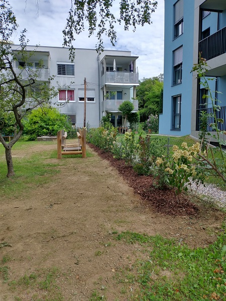 Blütenstauden statt unangenehme Blickbeziehung in Nachbars Garten: Kindergarten Anton-Kleinoscheg