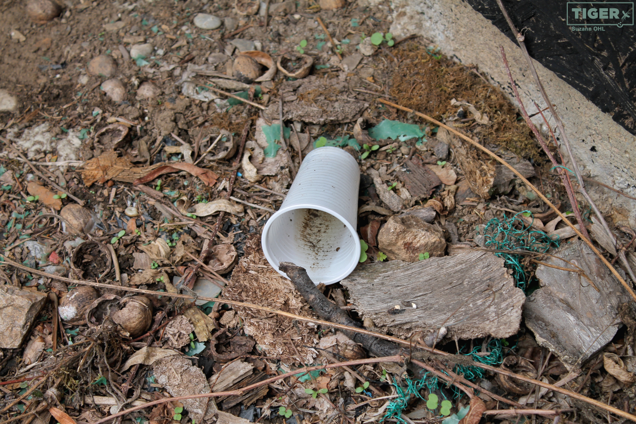 Müll im Freien