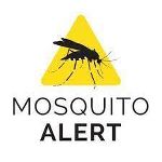 Mosquito Alert App