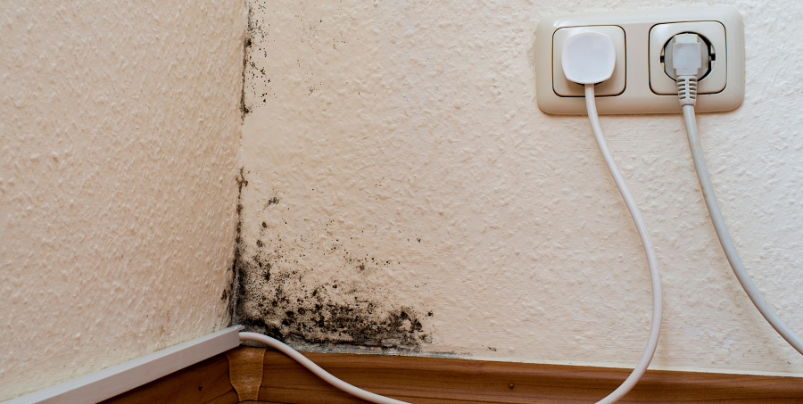 Bei Schimmelbildung in der Wohnung haben Sie ein Recht auf Mietzinsminderung. © Getty Images/schulzie via Canva Bei Schimmelbildung in der Wohnung haben Sie ein Recht auf Mietzinsminderung.