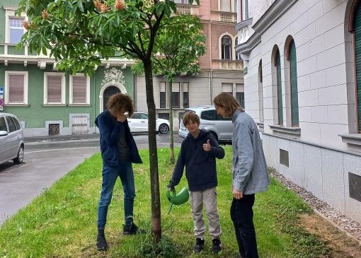 Jungbaum gießen