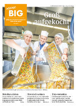 Klick aufs Bild zum PDF Download