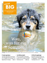 Download-PDF August-BIG