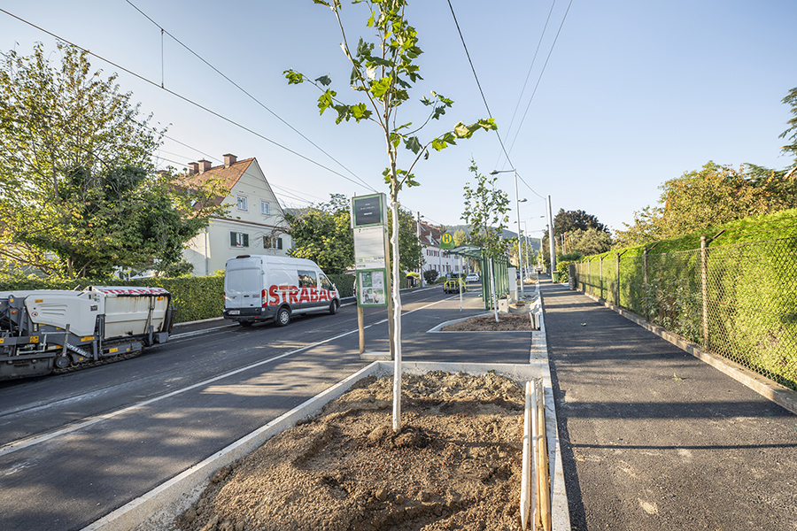 Auf ganzer Linie ein Erfolg: Ab 9. September fährt die Linie 7 entlang der üppig begrünten Strecke wieder bis zur neu gestalteten Endhaltestelle Wetzelsdorf.