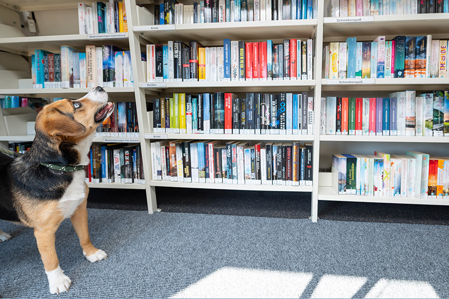 Wow, so viele Bücher! Der Bücherbus bringt seit 50 Jahren Bücher in die Grazer Außenbezirke. Das wurde nun groß gefeiert.