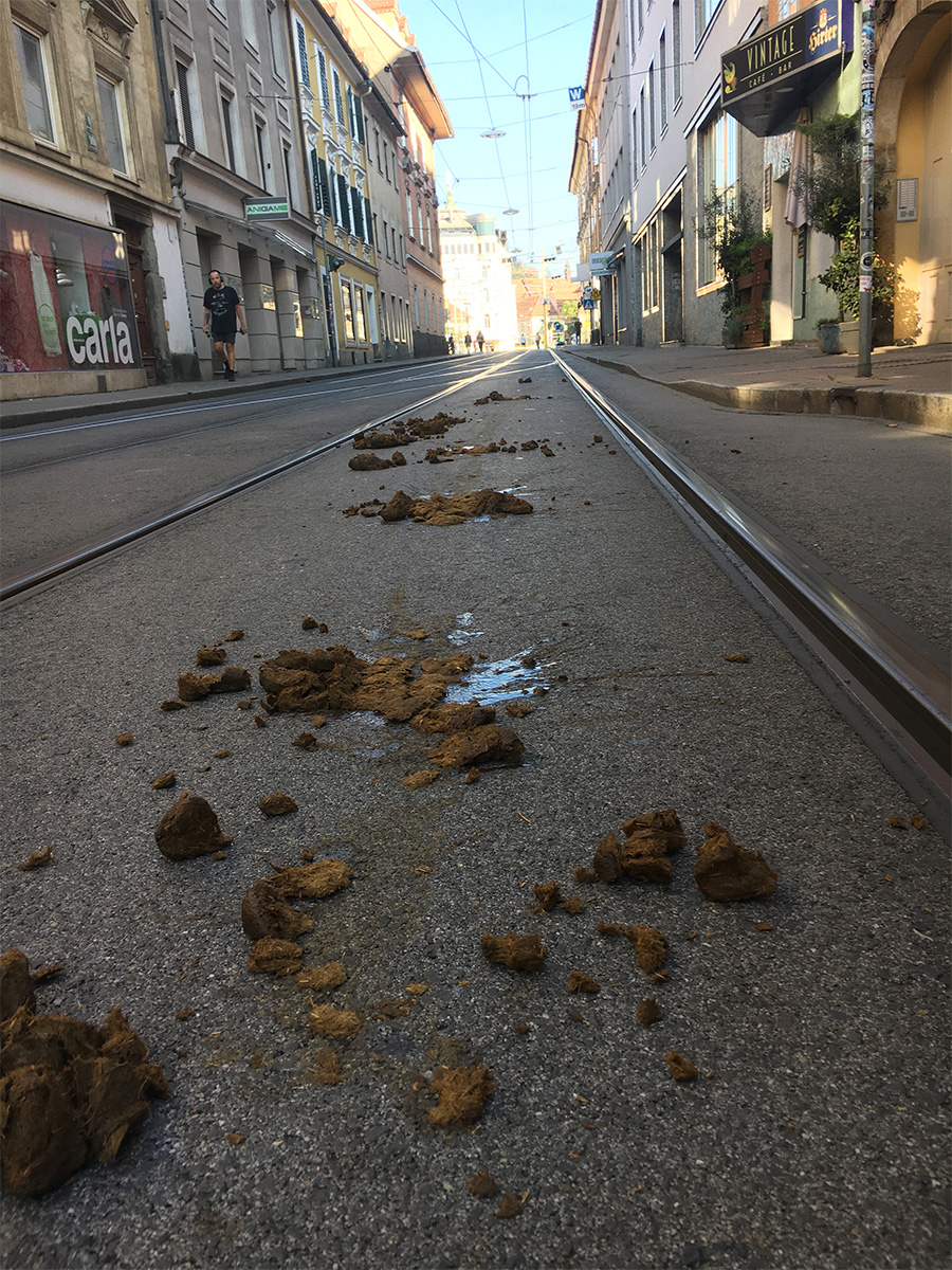 Das Kommen bestimmter "Besucher" von Aufsteirern kündigte sich schon in Straßenzügen außerhalb der Innenstadt an ... © Stadt Graz/Tautscher Das Kommen bestimmter "Besucher" von Aufsteirern kündigte sich schon in Straßenzügen außerhalb der Innenstadt an ...
