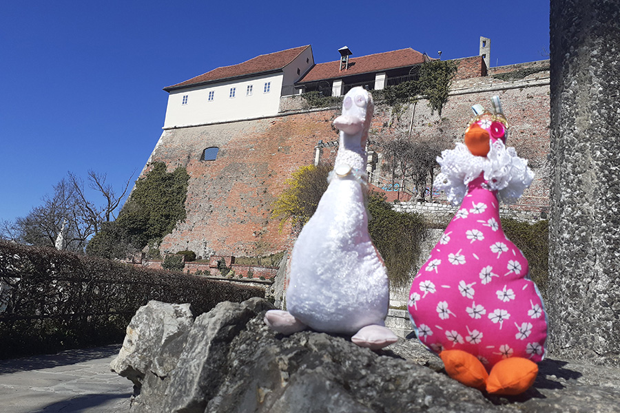 Die "mEnten" waren auch schon mal auf dem Grazer Schloßberg unterwegs.