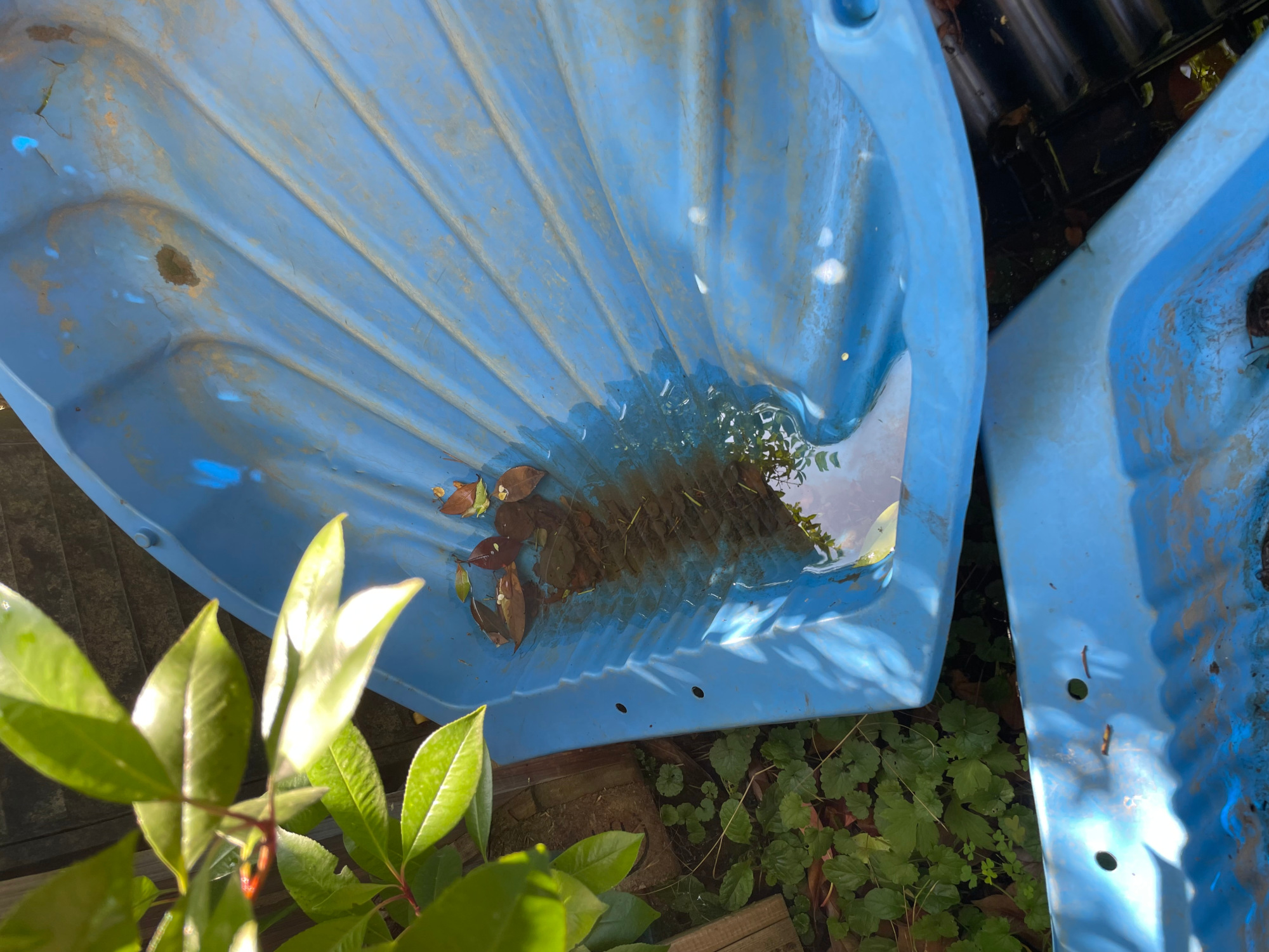 Wasseransammlugen in Minnipools oder Sandspielmuscheln