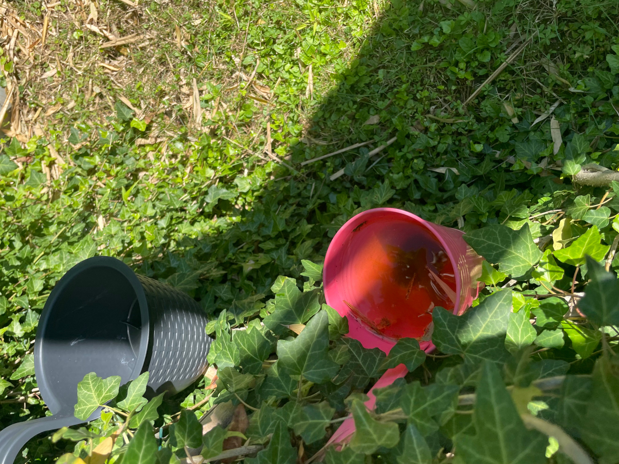 Wasserstellen im Garten