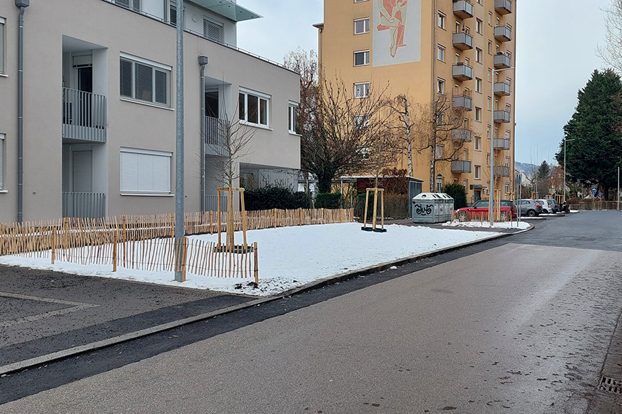 Vor dem Winter abgeschlossen: die Umgestaltung der Zeillergasse mit neuen Bäumen. © Stadt Graz/Altendorfer Vor dem Winter abgeschlossen: die Umgestaltung der Zeillergasse mit neuen Bäumen.