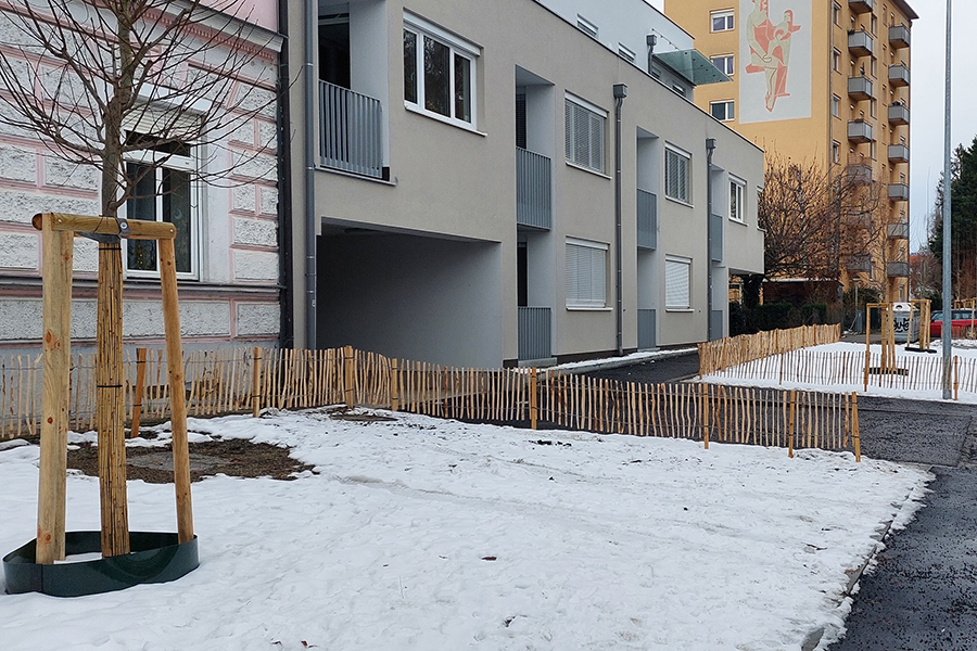 Vor dem Winter abgeschlossen: die Umgestaltung der Zeillergasse mit neuen Bäumen. © Stadt Graz/Altendorfer Vor dem Winter abgeschlossen: die Umgestaltung der Zeillergasse mit neuen Bäumen.