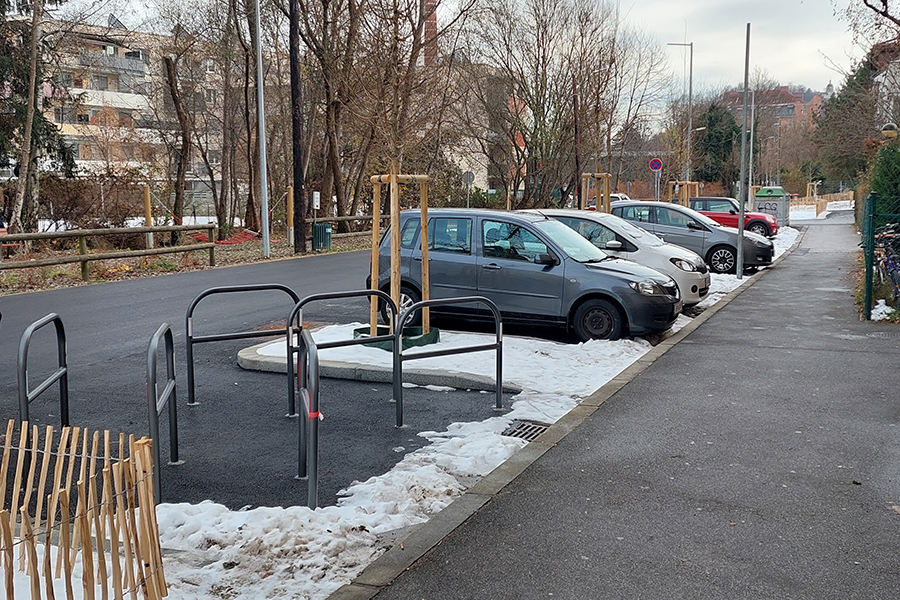 Vor dem Winter abgeschlossen: die Umgestaltung der Zeillergasse mit neuen Bäumen. © Stadt Graz/Altendorfer Vor dem Winter abgeschlossen: die Umgestaltung der Zeillergasse mit neuen Bäumen.