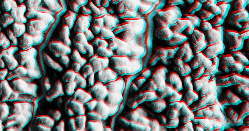 Mittels 3D-Brille eröffnen die Fotografien von GUKUBI MATO neue Perspektiven und regen zum interaktiven Wahrnehmen an. © GUKUBI MATO Mittels 3D-Brille eröffnen die Fotografien von GUKUBI MATO neue Perspektiven und regen zum interaktiven Wahrnehmen an.