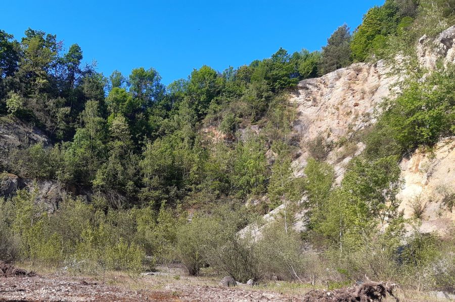 Steinbruch Spielbergweg