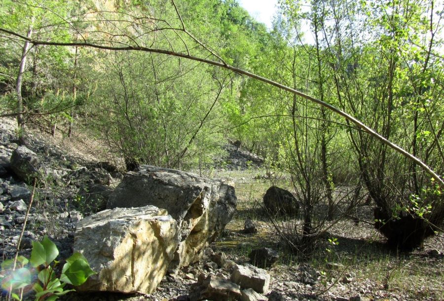 Steinbruch Spielbergweg