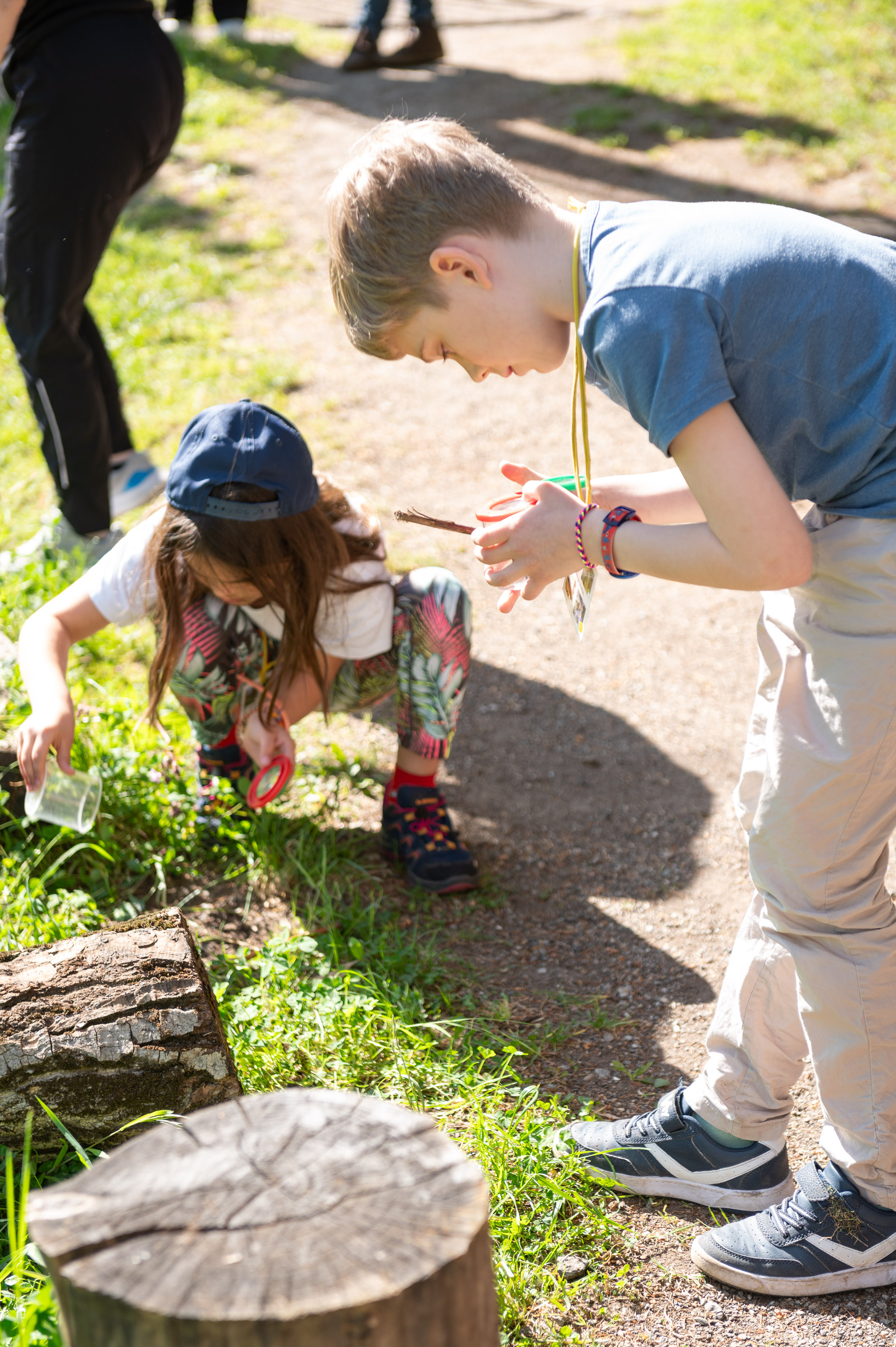 Impressionen des Insekten-Workshops.