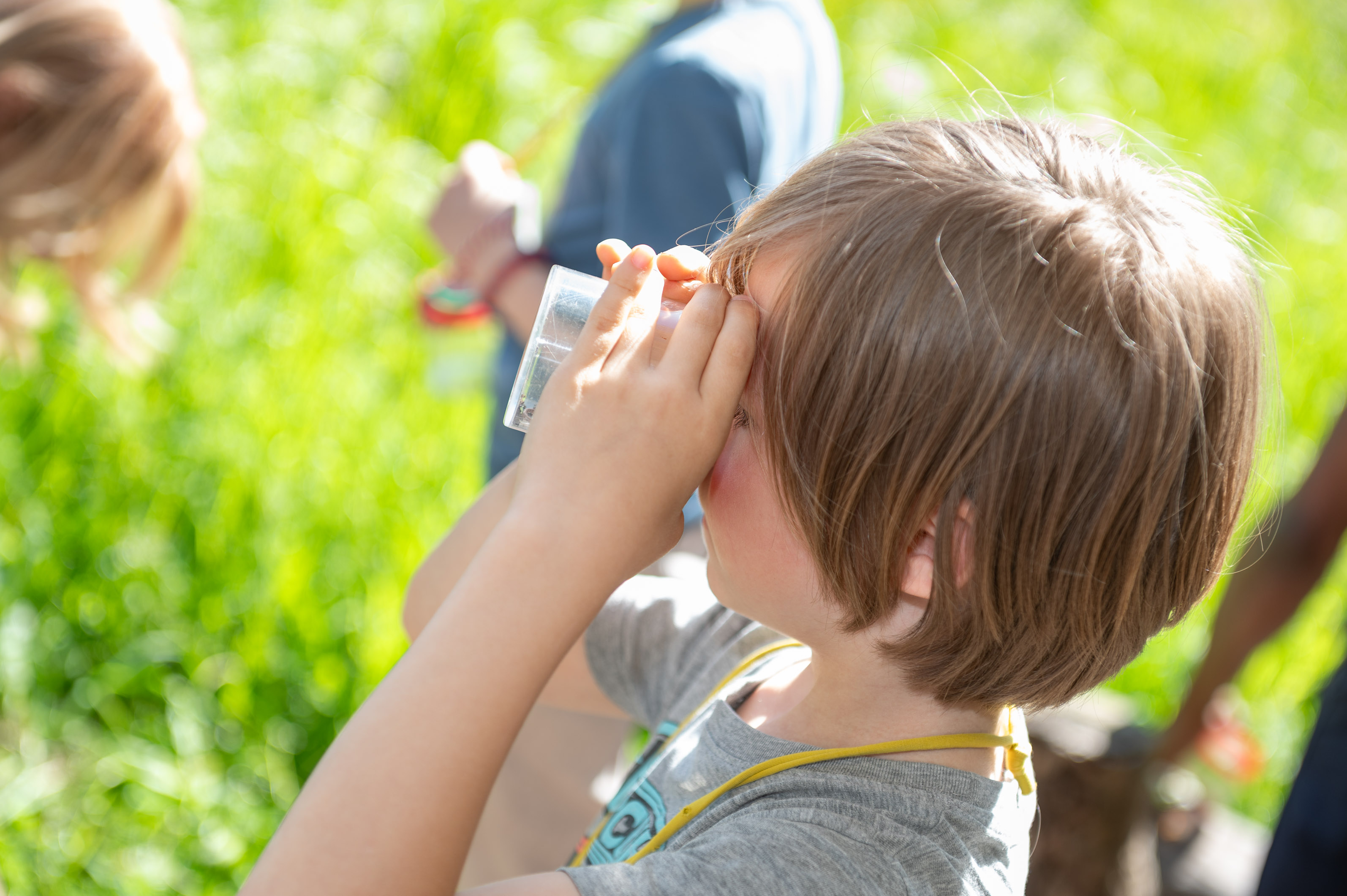 Impressionen des Insekten-Workshops.