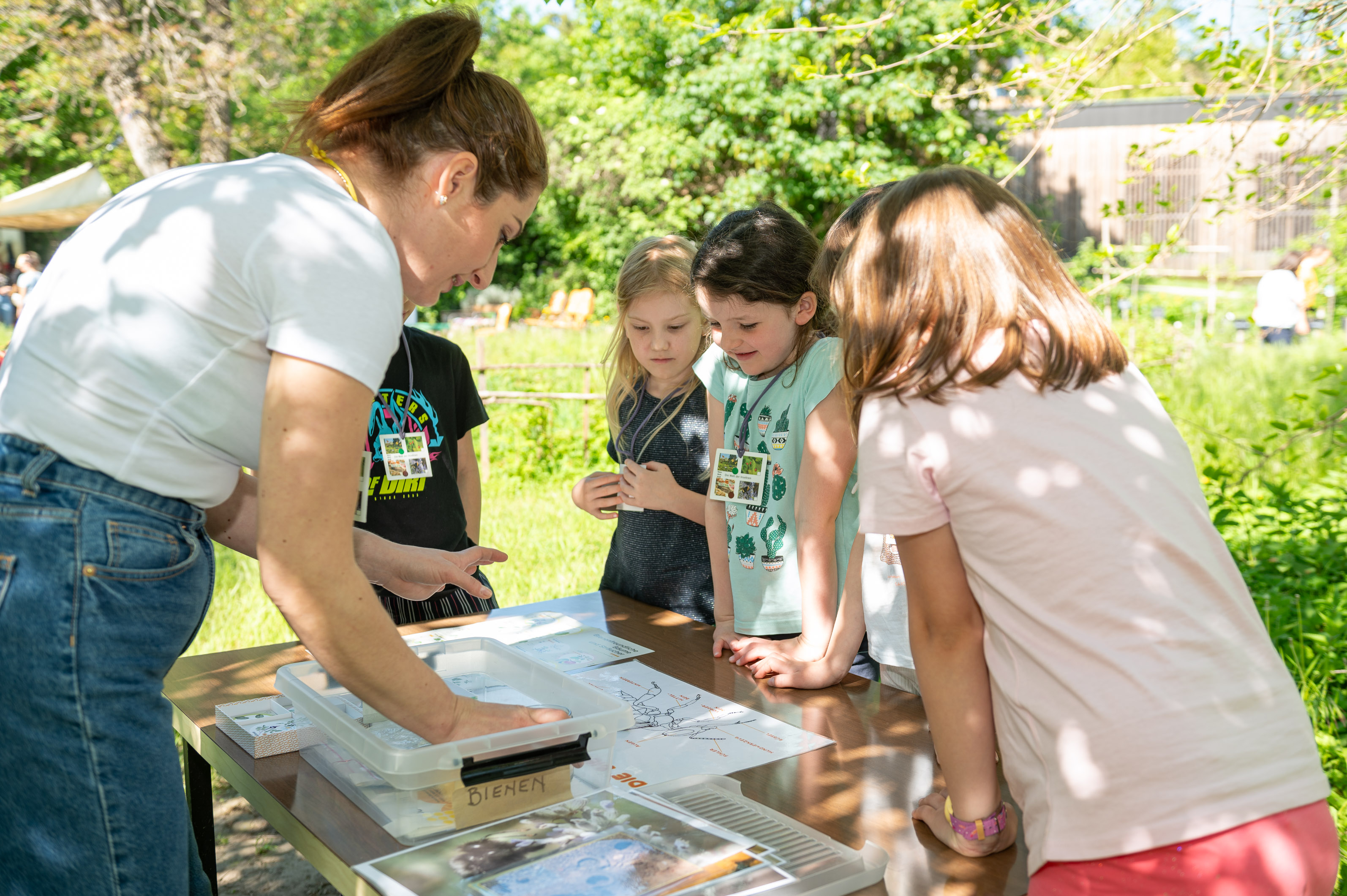 Impressionen des Insekten-Workshops.