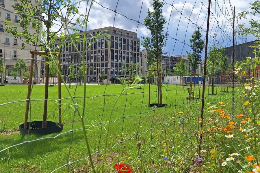 Nikolaus-Harnoncourt-Park