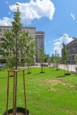 Nikolaus-Harnoncourt-Park