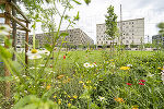 Nikolaus-Harnoncourt-Park
