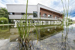 Biotop der Schule in der Klusemann Straße