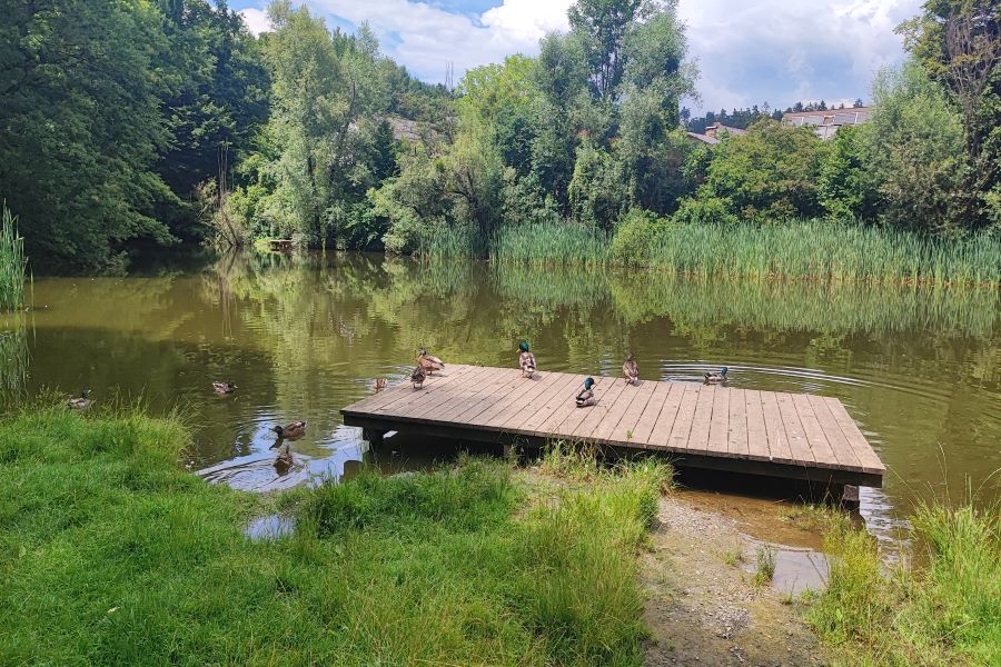 Naturschutzgebiet Rielteiche © Stadt Graz/Grünraum&Gewässer Naturschutzgebiet Rielteiche