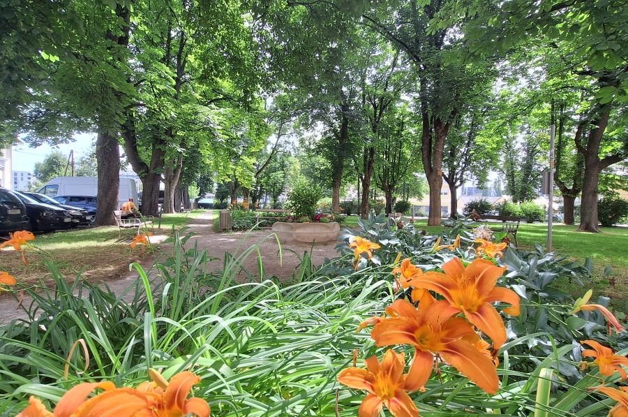 Helene-Serfecz-Platz