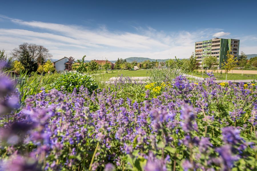 Liebenauer Park