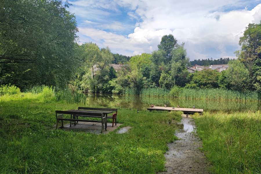 Rielteiche
