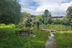 Rielteiche