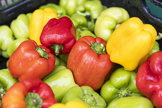 Biologische, bunte Vielfalt, die gut schmeckt und gesund ist. © Stadt Graz/Fischer Biologische, bunte Vielfalt, die gut schmeckt und gesund ist.