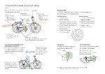 Tipps zum Kinderfahrradkauf