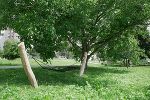Dagmar-Grage-Park