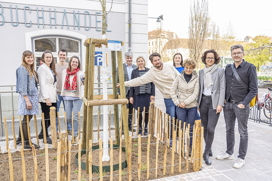 Klimaschutz schlägt Wurzeln: Die Klimabeirät:innen Alina Lückl, Katrin Brugger, Tristan Schachner, Birgit Bednar Friedl, Karl Steininger, Vizebürgermeisterin Judith Schwentner, Thomas Brudermann, Angelika Wolf, Ines Omann, Barbara Hammerl und Thomas Kienberger mit „ihrem“ Baum am Mariahilferplatz.