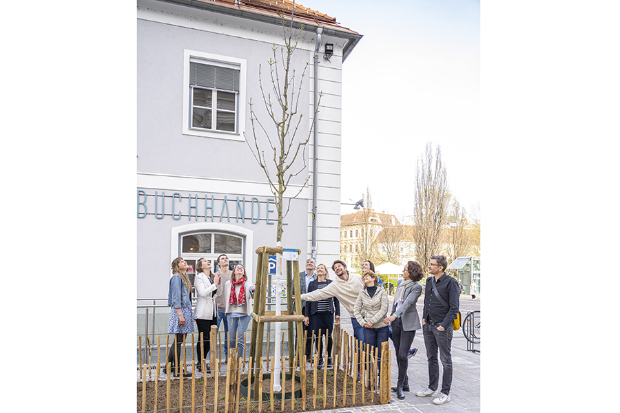 Klimaschutz schlägt Wurzeln: Die Klimabeirät:innen Alina Lückl, Katrin Brugger, Tristan Schachner, Birgit Bednar Friedl, Karl Steininger, Vizebürgermeisterin Judith Schwentner, Thomas Brudermann, Angelika Wolf, Ines Omann, Barbara Hammerl und Thomas Kienberger mit „ihrem“ Baum am Mariahilferplatz (v.l.)