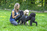 Nadja Steiner gibt Tipps auf Grazer Hundewiesen. Timon und Lotta genießen das Training.