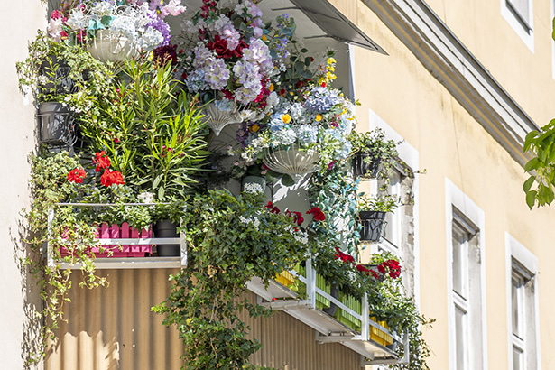 Klein, aber mein: Hübsche Balkondekorationen wie diese hier am Griesplatz sind Balsam für die Seele. © Stadt Graz/Fischer Klein, aber mein: Hübsche Balkondekorationen wie diese hier am Griesplatz sind Balsam für die Seele.