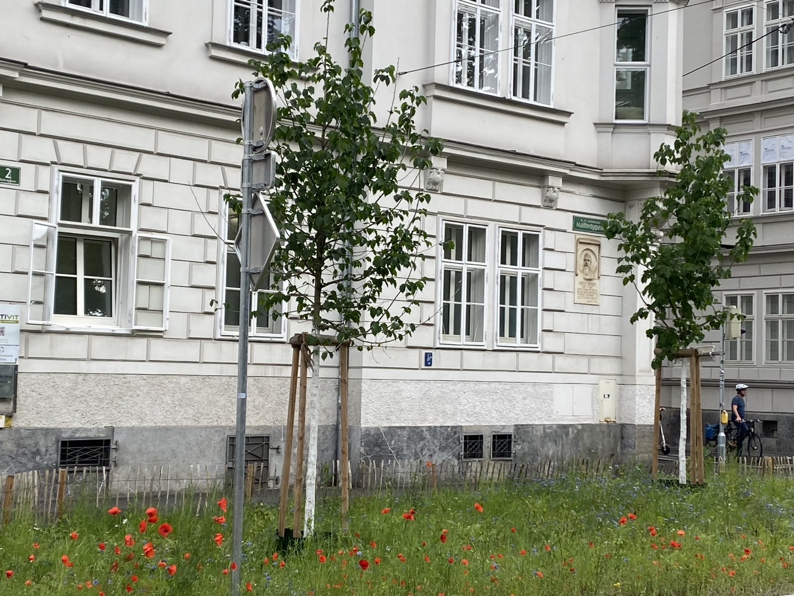 Graz blüht auf © KHS Graz blüht auf
