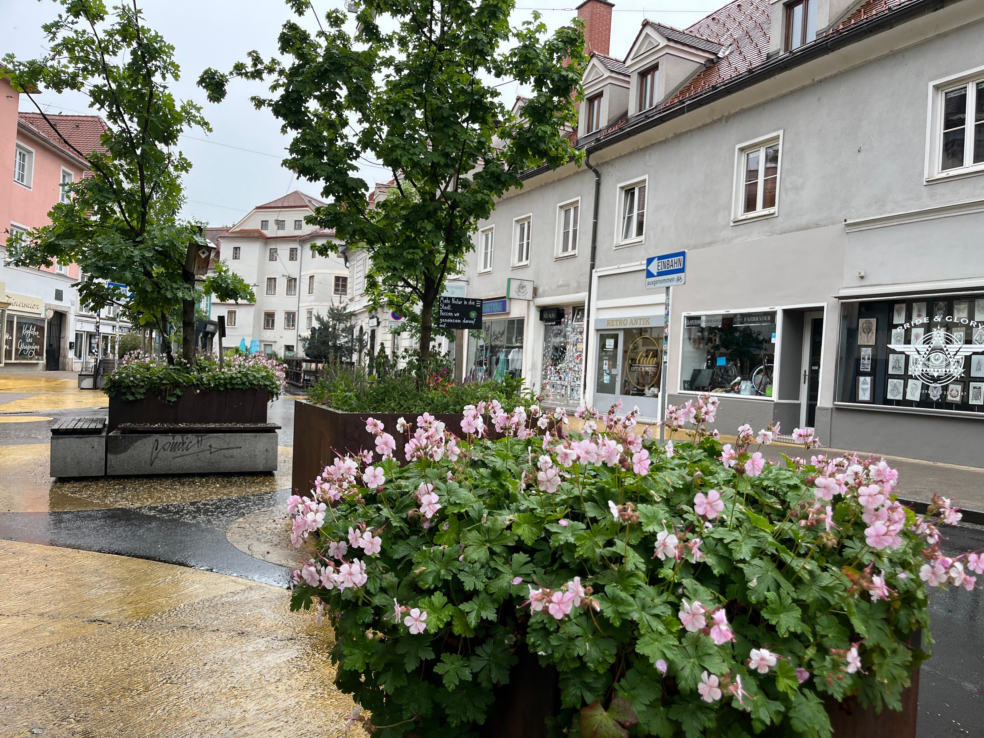 Graz blüht auf © S. Knopper Graz blüht auf