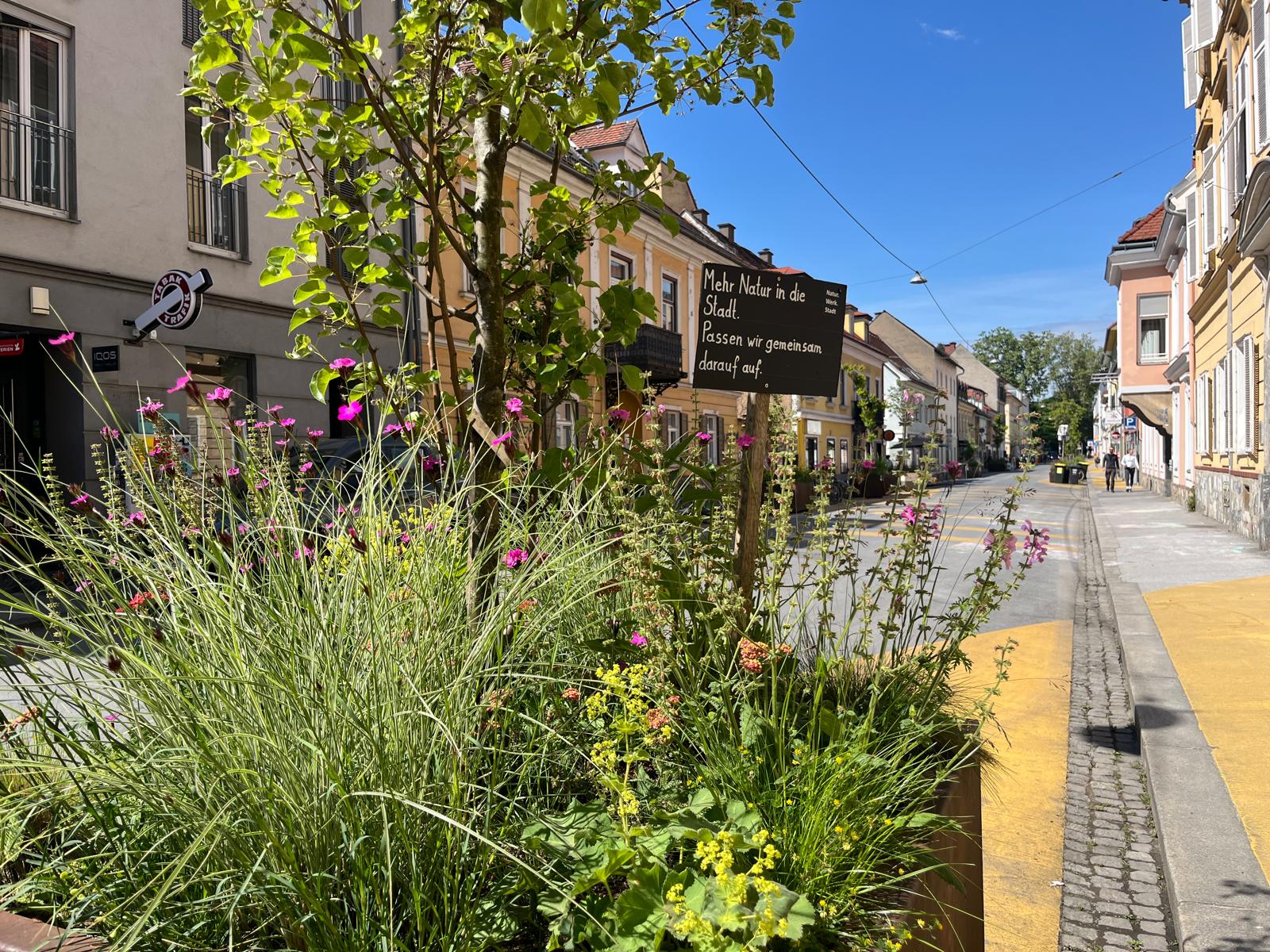 Graz blüht auf © S. Gallbrunner Graz blüht auf