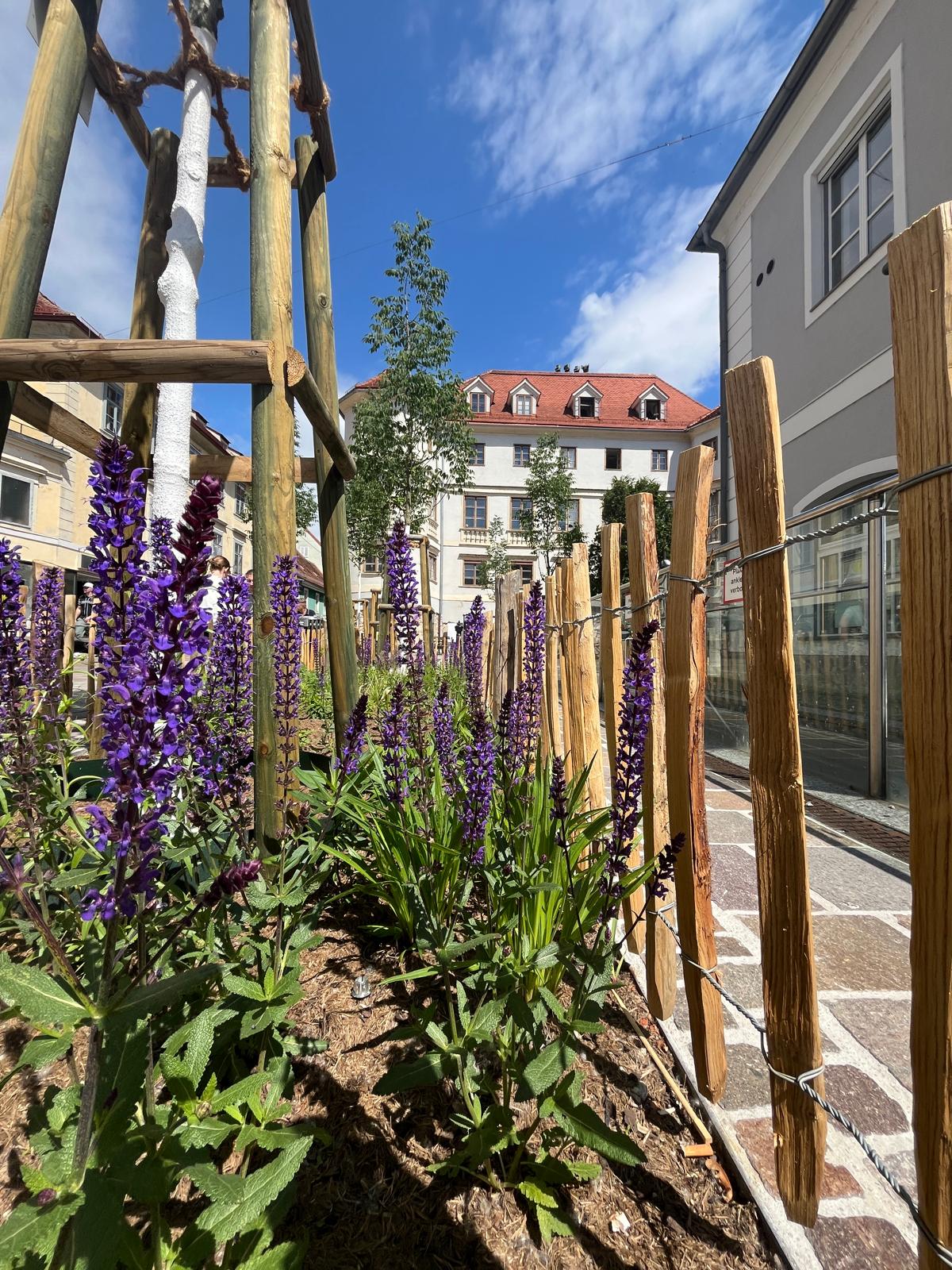 Graz blüht auf © V. Nitsche Graz blüht auf