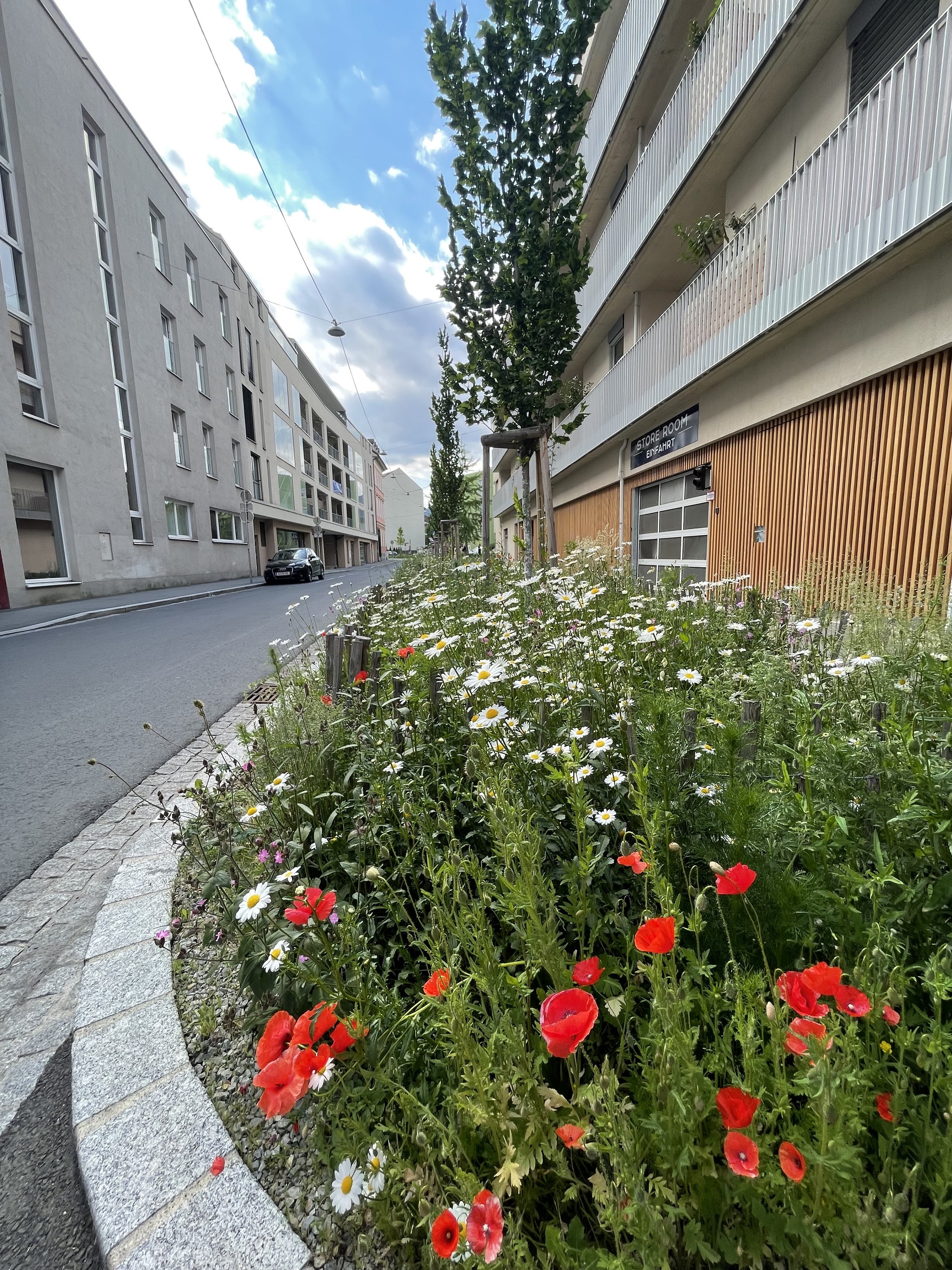 Graz blüht auf © M. Eichberger Graz blüht auf